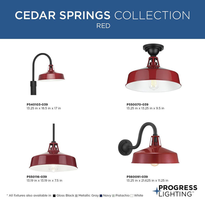 Cedar Springs Wall Lantern-Exterior-Progress Lighting-Lighting Design Store