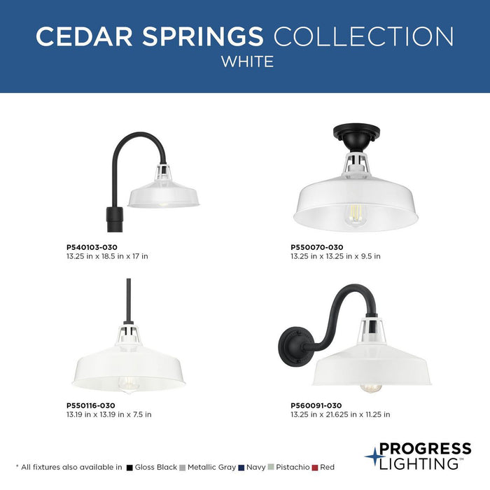 Cedar Springs Semi Flush Mount-Exterior-Progress Lighting-Lighting Design Store