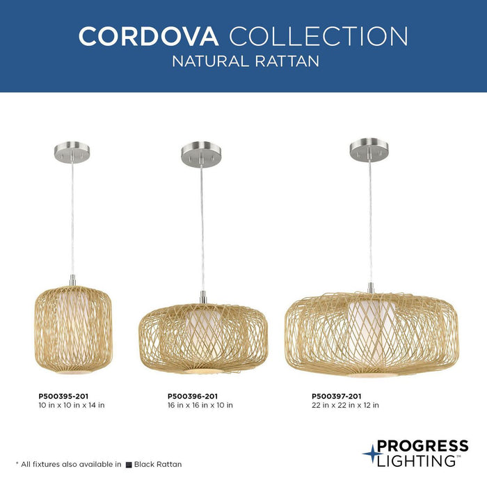 Cordova Pendant-Pendants-Progress Lighting-Lighting Design Store