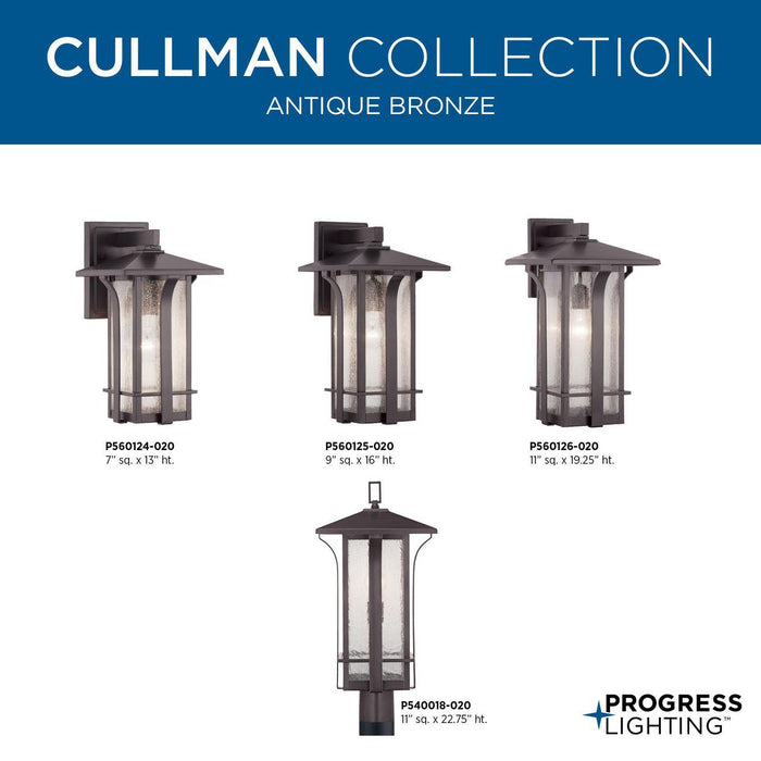Cullman Wall Lantern-Exterior-Progress Lighting-Lighting Design Store
