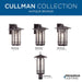 Cullman Wall Lantern-Exterior-Progress Lighting-Lighting Design Store