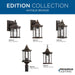 Edition Hanging Lantern-Exterior-Progress Lighting-Lighting Design Store
