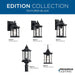 Edition Hanging Lantern-Exterior-Progress Lighting-Lighting Design Store