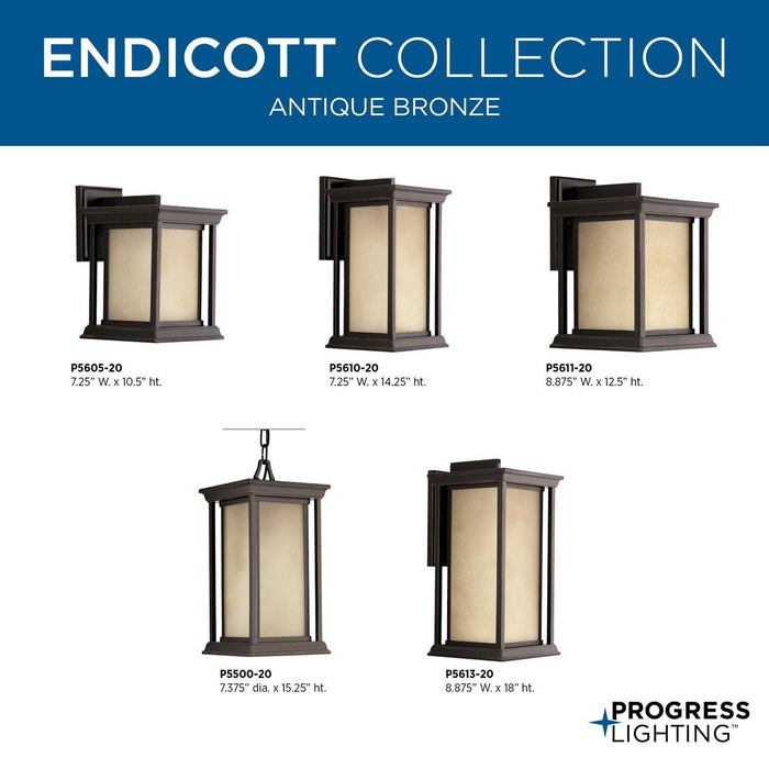 Endicott Wall Lantern-Exterior-Progress Lighting-Lighting Design Store