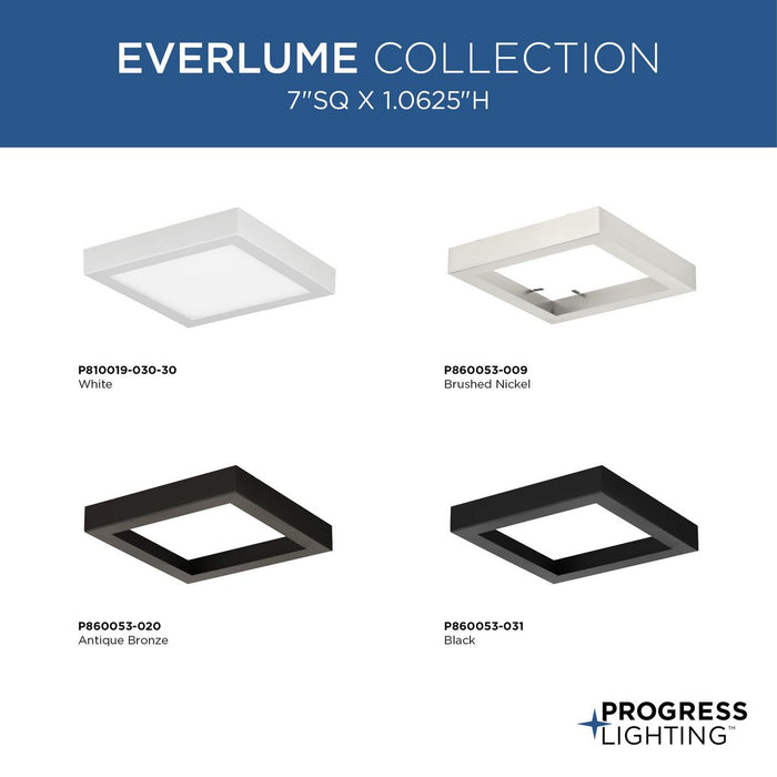 Everlume Flush Mount-Specialty Items-Progress Lighting-Lighting Design Store