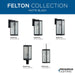 Felton Wall Lantern-Exterior-Progress Lighting-Lighting Design Store