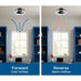 Shear Ceiling Fan-Fans-Progress Lighting-Lighting Design Store