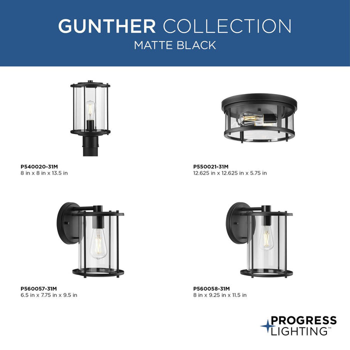 Gunther Outdoor Flush Mount-Exterior-Progress Lighting-Lighting Design Store