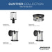 Gunther Outdoor Wall Lantern-Exterior-Progress Lighting-Lighting Design Store