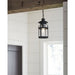 Haslett Hanging Lantern-Exterior-Progress Lighting-Lighting Design Store