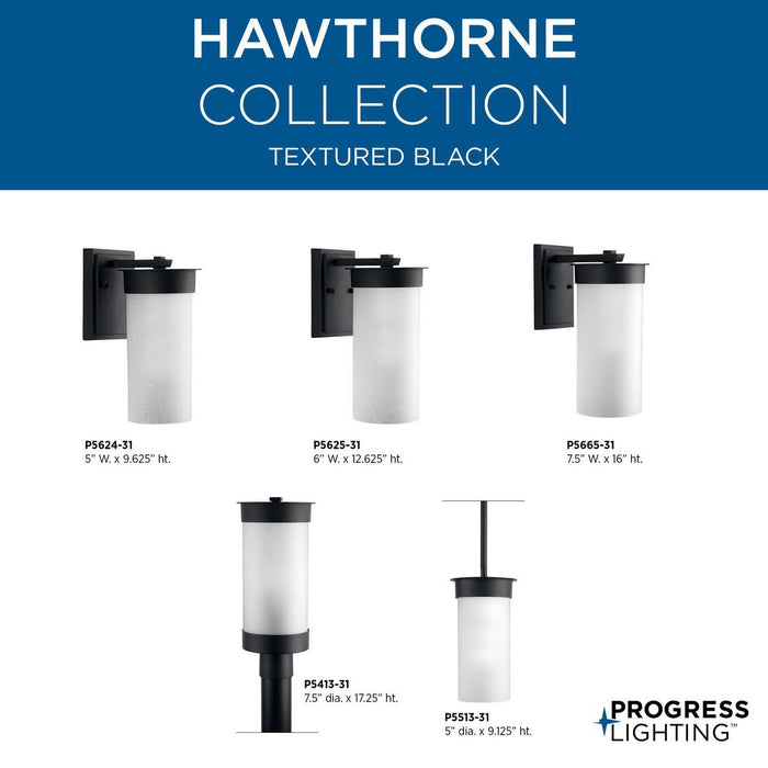 Hawthorne Hanging Lantern-Mini Pendants-Progress Lighting-Lighting Design Store