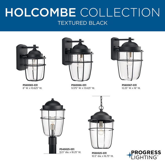 Holcombe Wall Lantern-Exterior-Progress Lighting-Lighting Design Store