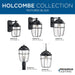 Holcombe Hanging Lantern-Exterior-Progress Lighting-Lighting Design Store