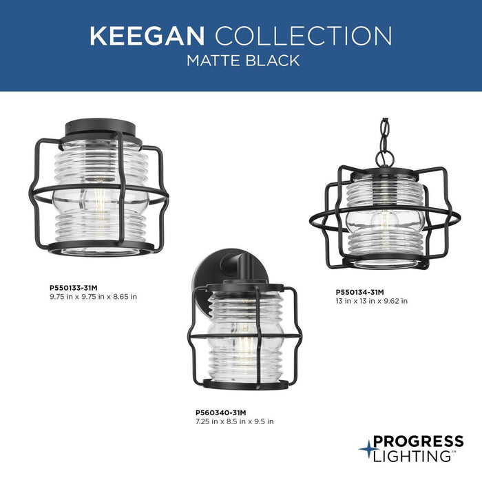 Keegan Outdoor Flush Mount-Exterior-Progress Lighting-Lighting Design Store