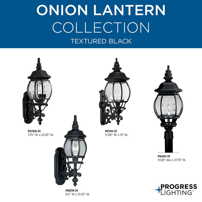 Onion Lantern Large Wall Lantern-Exterior-Progress Lighting-Lighting Design Store