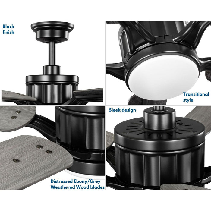 Claret 54" Ceiling Fan-Fans-Progress Lighting-Lighting Design Store