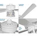 Midvale 56" Ceiling Fan-Fans-Progress Lighting-Lighting Design Store