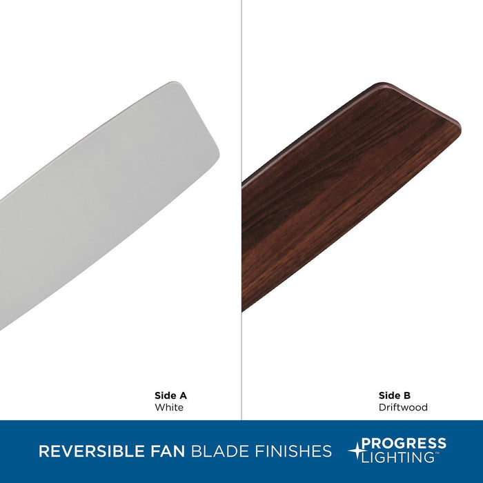 Performance Builder 52" Ceiling Fan-Fans-Progress Lighting-Lighting Design Store