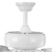 Performance Builder 52" Ceiling Fan-Fans-Progress Lighting-Lighting Design Store