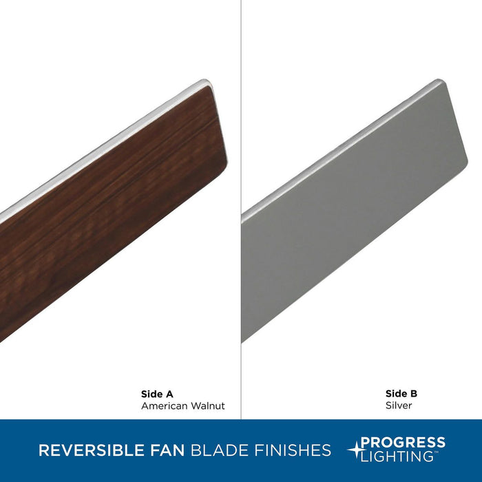 Braden 44" Ceiling Fan-Fans-Progress Lighting-Lighting Design Store