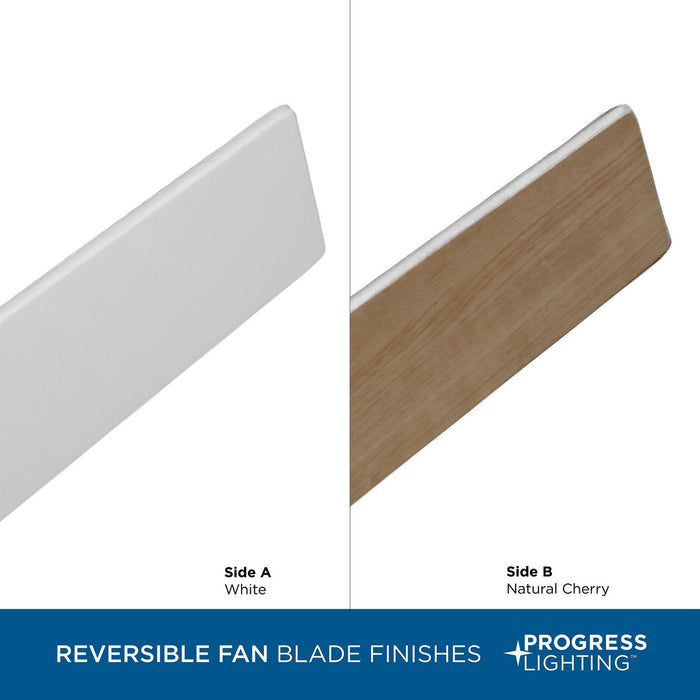 Braden 44" Ceiling Fan-Fans-Progress Lighting-Lighting Design Store