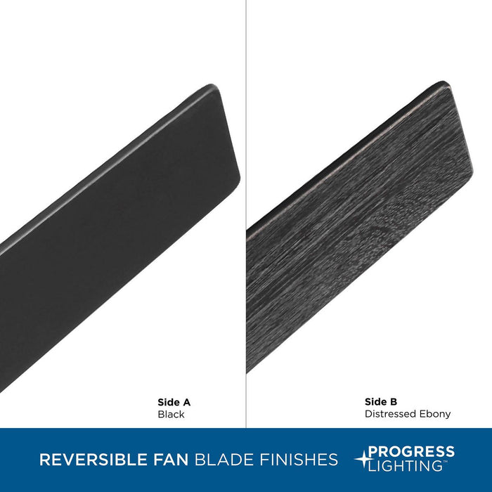 Braden 44" Ceiling Fan-Fans-Progress Lighting-Lighting Design Store