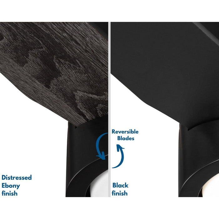 Braden 44" Ceiling Fan-Fans-Progress Lighting-Lighting Design Store