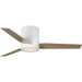 Braden 44" Ceiling Fan-Fans-Progress Lighting-Lighting Design Store