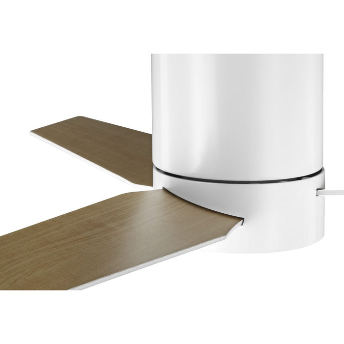 Braden 44" Ceiling Fan-Fans-Progress Lighting-Lighting Design Store