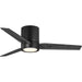 Braden 44" Ceiling Fan-Fans-Progress Lighting-Lighting Design Store