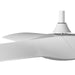 Ryne 52" Ceiling Fan-Fans-Progress Lighting-Lighting Design Store