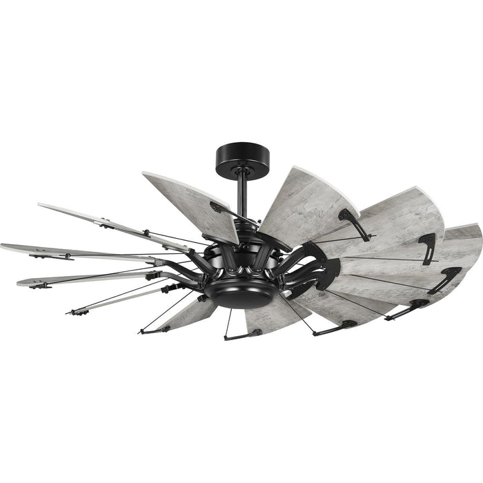 Springer 52" Ceiling Fan-Fans-Progress Lighting-Lighting Design Store