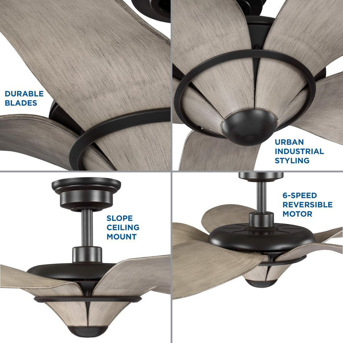 Mesilla 60" Ceiling Fan-Fans-Progress Lighting-Lighting Design Store