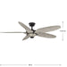 Mesilla 60" Ceiling Fan-Fans-Progress Lighting-Lighting Design Store