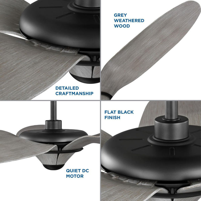 Mesilla 60" Ceiling Fan-Fans-Progress Lighting-Lighting Design Store
