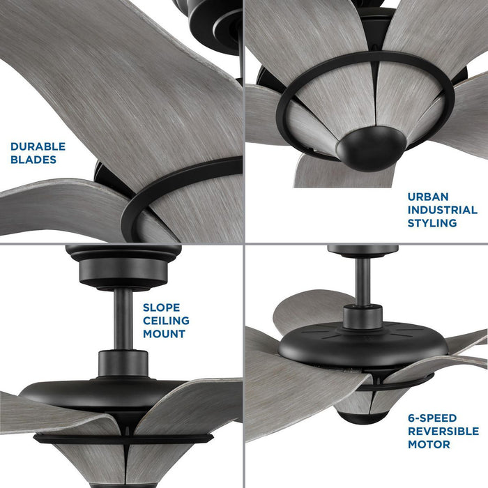 Mesilla 60" Ceiling Fan-Fans-Progress Lighting-Lighting Design Store