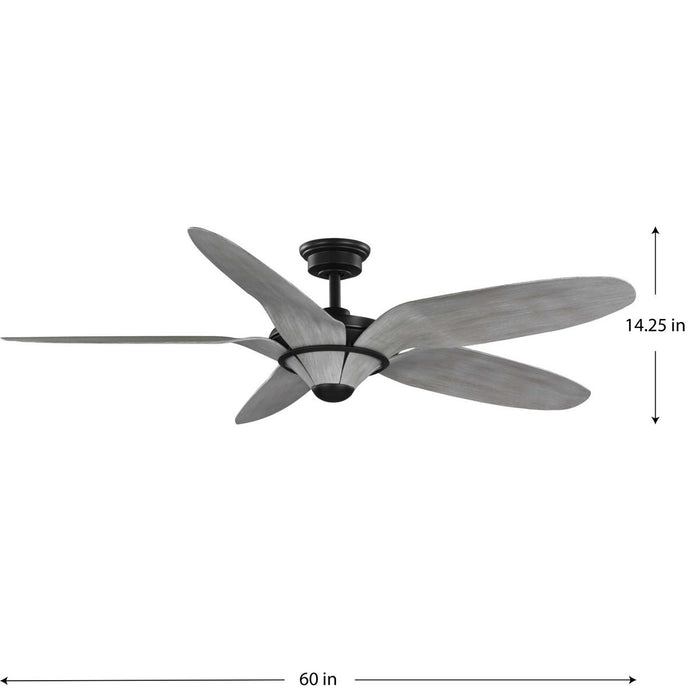 Mesilla 60" Ceiling Fan-Fans-Progress Lighting-Lighting Design Store