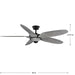 Mesilla 60" Ceiling Fan-Fans-Progress Lighting-Lighting Design Store