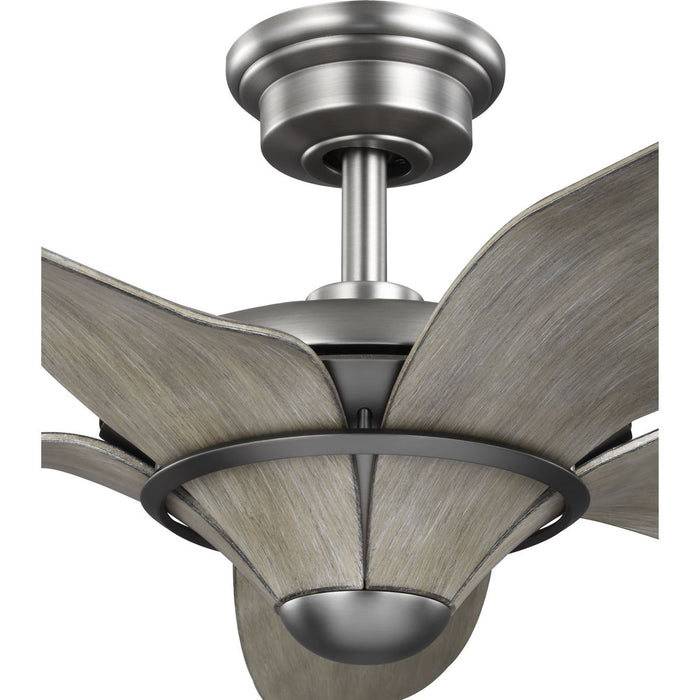 Mesilla 60" Ceiling Fan-Fans-Progress Lighting-Lighting Design Store