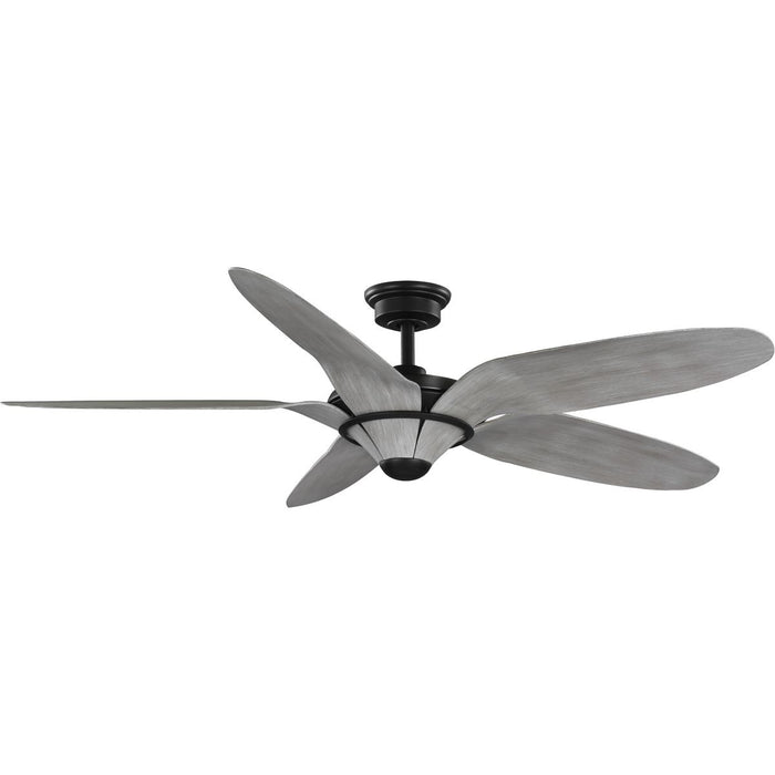 Mesilla 60" Ceiling Fan-Fans-Progress Lighting-Lighting Design Store