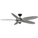 Mesilla 60" Ceiling Fan-Fans-Progress Lighting-Lighting Design Store