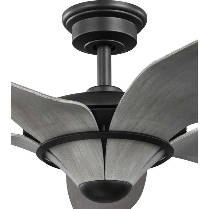 Mesilla 60" Ceiling Fan-Fans-Progress Lighting-Lighting Design Store
