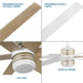Carrollwood 56" Ceiling Fan-Fans-Progress Lighting-Lighting Design Store