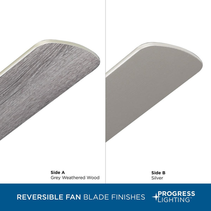 Airpro Builder Fan 52" Ceiling Fan-Fans-Progress Lighting-Lighting Design Store