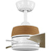 Shaffer Ii 56" Ceiling Fan-Fans-Progress Lighting-Lighting Design Store