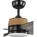 Shaffer Ii 56" Ceiling Fan-Fans-Progress Lighting-Lighting Design Store