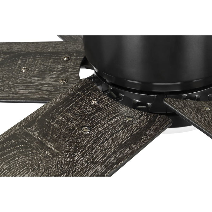 Bexar 54" Ceiling Fan-Fans-Progress Lighting-Lighting Design Store