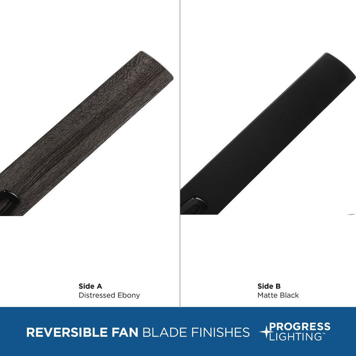 Bexar 54" Ceiling Fan-Fans-Progress Lighting-Lighting Design Store