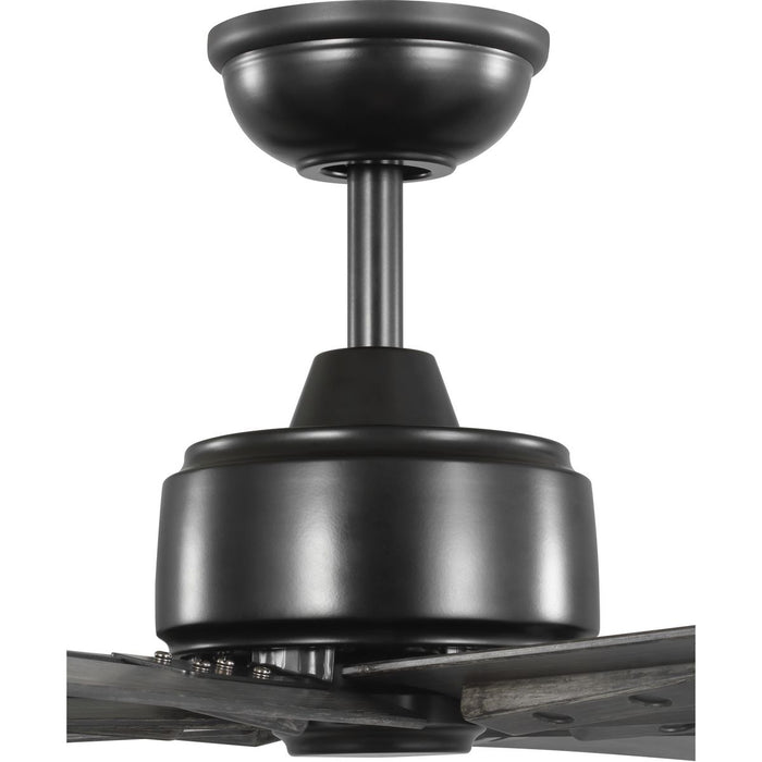 Brazas 56" Ceiling Fan-Fans-Progress Lighting-Lighting Design Store