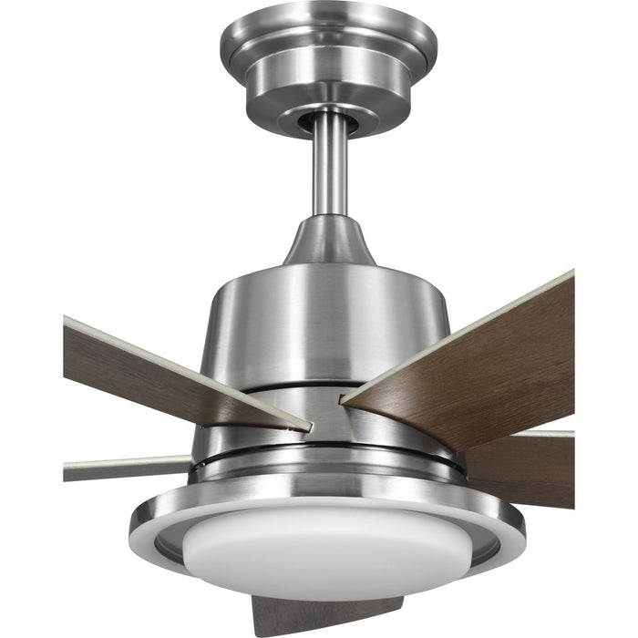 Tarsus 52" Ceiling Fan-Fans-Progress Lighting-Lighting Design Store
